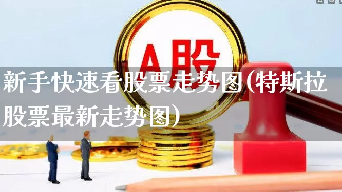新手快速看股票走势图(特斯拉股票最新走势图)_https://www.fzdzcxj.com_北交所_第1张