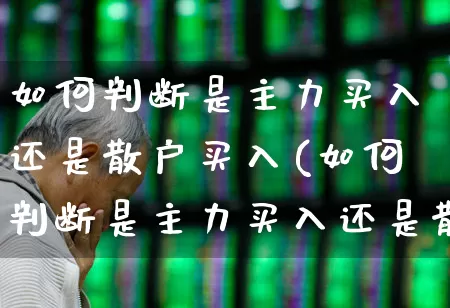 如何判断是主力买入还是散户买入(如何判断是主力买入还是散户买入呢)_https://www.fzdzcxj.com_科创板_第1张
