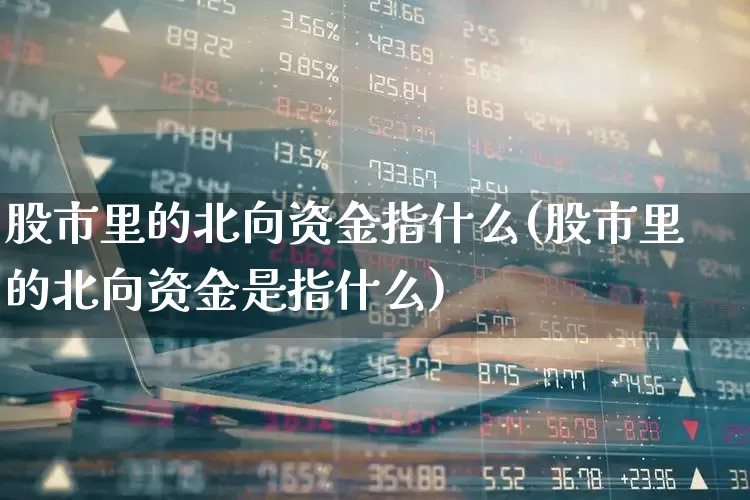 股市里的北向资金指什么(股市里的北向资金是指什么)_https://www.fzdzcxj.com_创业板_第1张