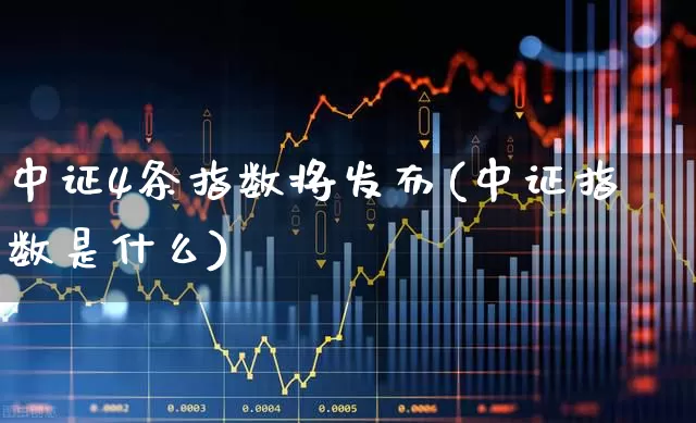 中证4条指数将发布(中证指数是什么)_https://www.fzdzcxj.com_北交所_第1张