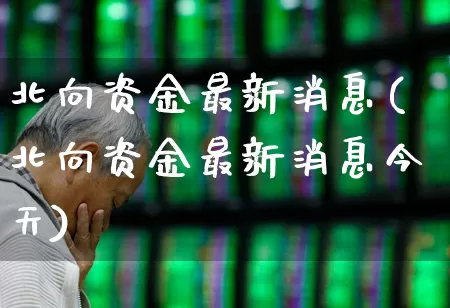 北向资金最新消息(北向资金最新消息今天)_https://www.fzdzcxj.com_上交所_第1张
