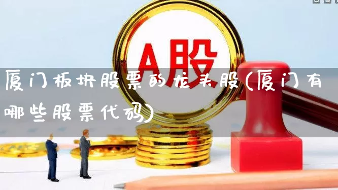 厦门板块股票的龙头股(厦门有哪些股票代码)_https://www.fzdzcxj.com_创业板_第1张