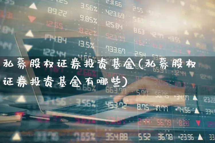 私募股权证券投资基金(私募股权证券投资基金有哪些)_https://www.fzdzcxj.com_科创板_第1张