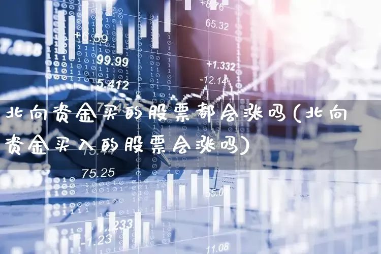北向资金买的股票都会涨吗(北向资金买入的股票会涨吗)_https://www.fzdzcxj.com_深交所_第1张