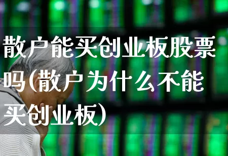散户能买创业板股票吗(散户为什么不能买创业板)_https://www.fzdzcxj.com_深交所_第1张