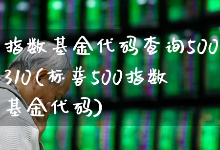 指数基金代码查询500310(标普500指数基金代码)_https://www.fzdzcxj.com_上交所_第1张