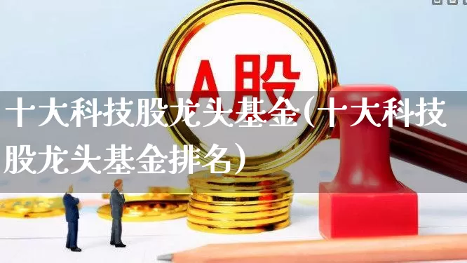 十大科技股龙头基金(十大科技股龙头基金排名)_https://www.fzdzcxj.com_北交所_第1张