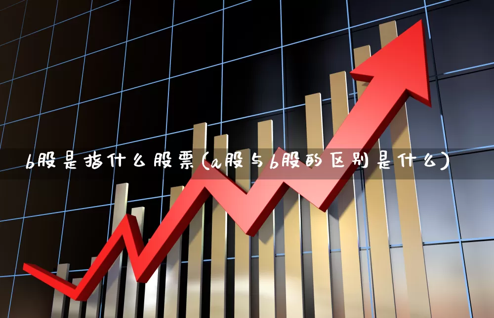 b股是指什么股票(a股与b股的区别是什么)_https://www.fzdzcxj.com_北交所_第1张