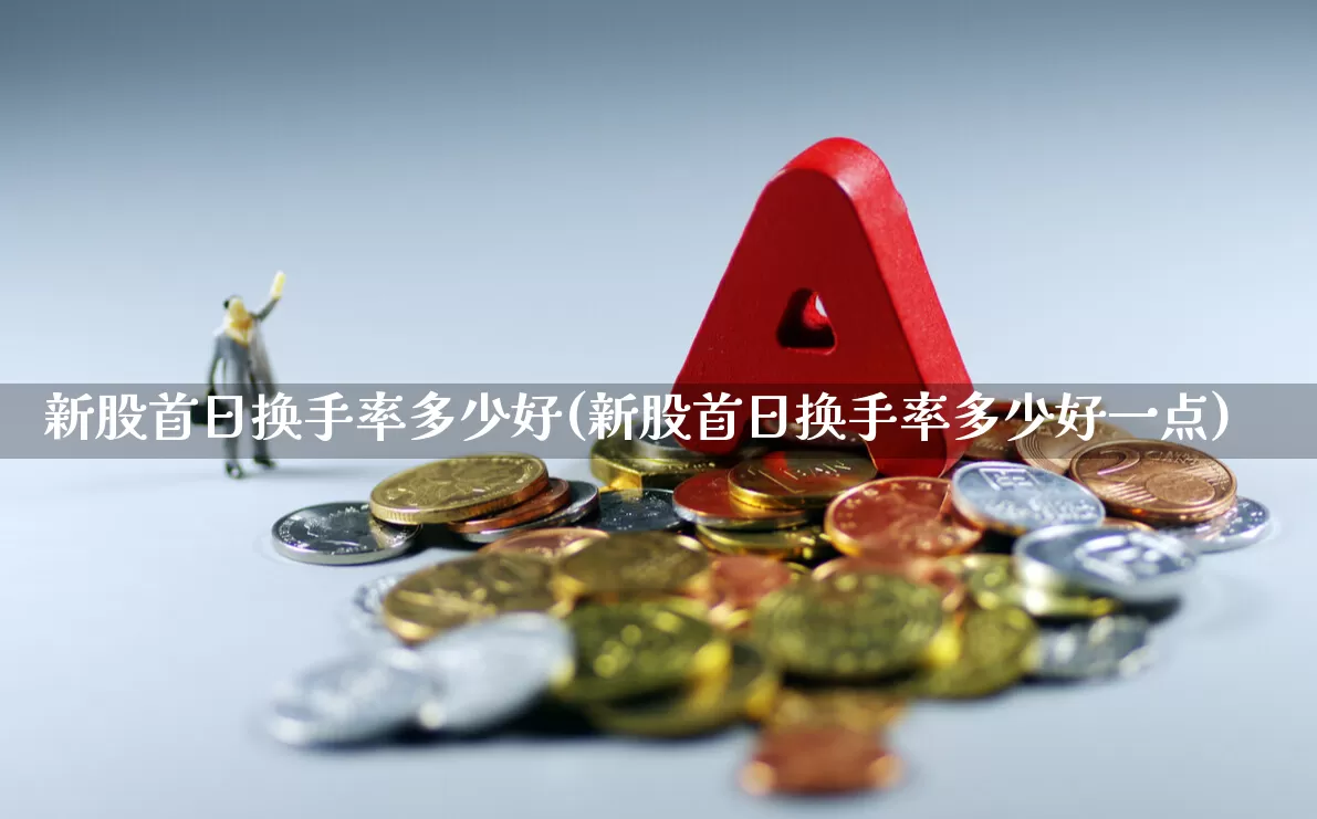 新股首日换手率多少好(新股首日换手率多少好一点)_https://www.fzdzcxj.com_创业板_第1张