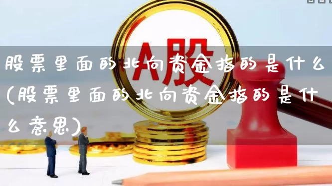 股票里面的北向资金指的是什么(股票里面的北向资金指的是什么意思)_https://www.fzdzcxj.com_上交所_第1张