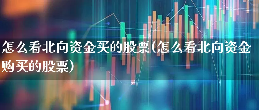 怎么看北向资金买的股票(怎么看北向资金购买的股票)_https://www.fzdzcxj.com_深交所_第1张