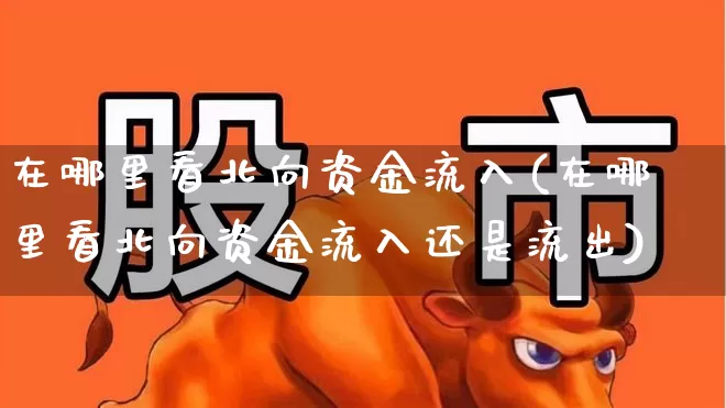 在哪里看北向资金流入(在哪里看北向资金流入还是流出)_https://www.fzdzcxj.com_上交所_第1张