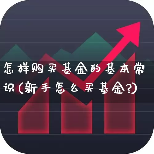 怎样购买基金的基本常识(新手怎么买基金?)_https://www.fzdzcxj.com_北交所_第1张