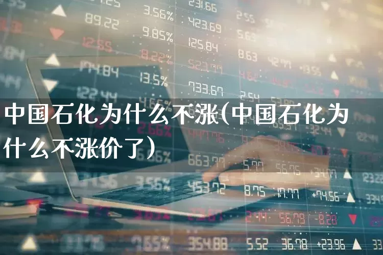 中国石化为什么不涨(中国石化为什么不涨价了)_https://www.fzdzcxj.com_北交所_第1张
