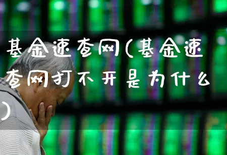 基金速查网(基金速查网打不开是为什么)_https://www.fzdzcxj.com_上交所_第1张