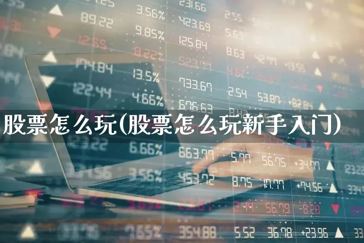 股票怎么玩(股票怎么玩新手入门)_https://www.fzdzcxj.com_上交所_第1张