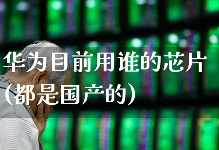 华为目前用谁的芯片(都是国产的)_https://www.fzdzcxj.com_科创板_第1张