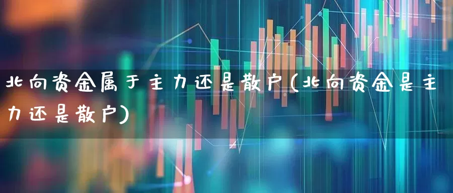 北向资金属于主力还是散户(北向资金是主力还是散户)_https://www.fzdzcxj.com_北交所_第1张