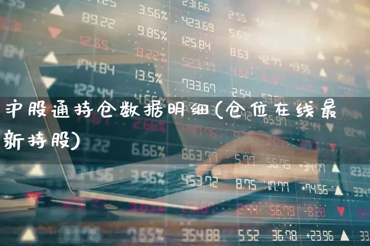 沪股通持仓数据明细(仓位在线最新持股)_https://www.fzdzcxj.com_北交所_第1张
