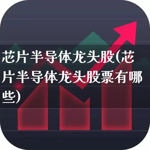 芯片半导体龙头股(芯片半导体龙头股票有哪些)_https://www.fzdzcxj.com_北交所_第1张