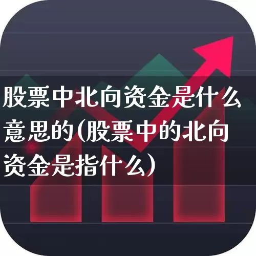 股票中北向资金是什么意思的(股票中的北向资金是指什么)_https://www.fzdzcxj.com_北交所_第1张