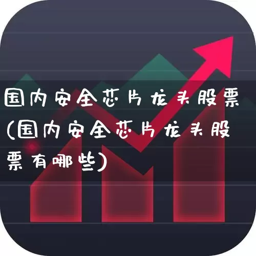 国内安全芯片龙头股票(国内安全芯片龙头股票有哪些)_https://www.fzdzcxj.com_科创板_第1张