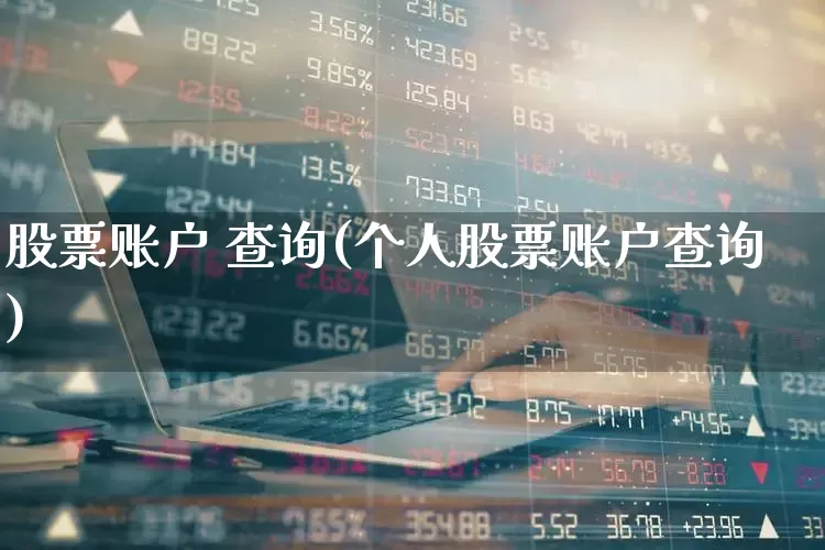 股票账户 查询(个人股票账户查询)_https://www.fzdzcxj.com_北交所_第1张