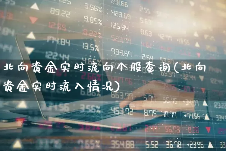 北向资金实时流向个股查询(北向资金实时流入情况)_https://www.fzdzcxj.com_上交所_第1张