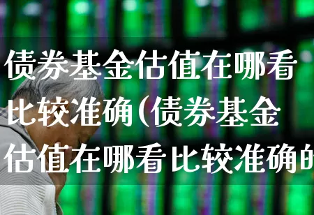 债券基金估值在哪看比较准确(债券基金估值在哪看比较准确的)_https://www.fzdzcxj.com_北交所_第1张