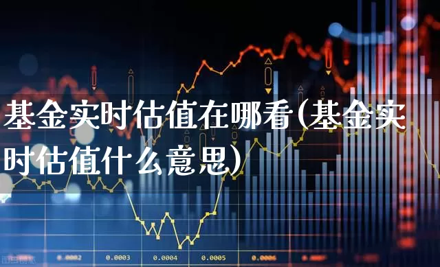 基金实时估值在哪看(基金实时估值什么意思)_https://www.fzdzcxj.com_创业板_第1张
