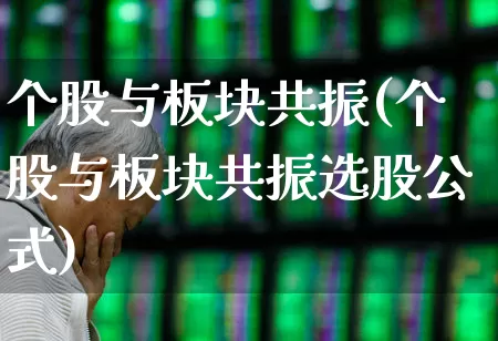 个股与板块共振(个股与板块共振选股公式)_https://www.fzdzcxj.com_科创板_第1张