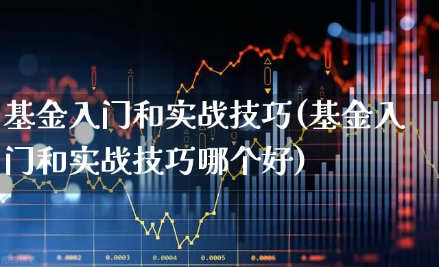 基金入门和实战技巧(基金入门和实战技巧哪个好)_https://www.fzdzcxj.com_创业板_第1张