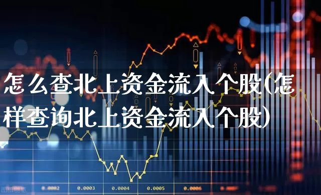 怎么查北上资金流入个股(怎样查询北上资金流入个股)_https://www.fzdzcxj.com_深交所_第1张