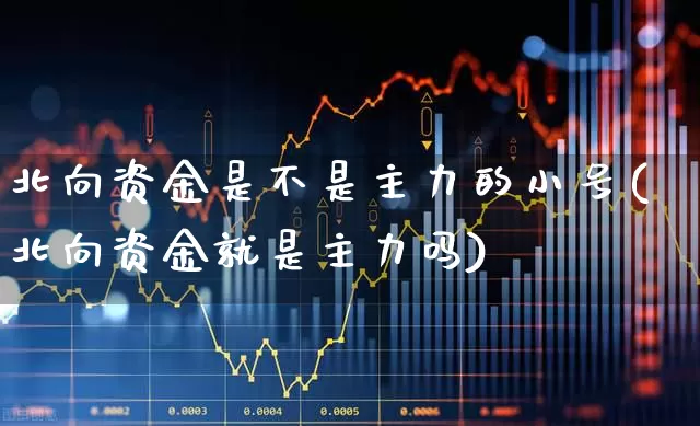 北向资金是不是主力的小号(北向资金就是主力吗)_https://www.fzdzcxj.com_创业板_第1张