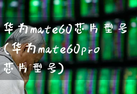 华为mate60芯片型号(华为mate60pro芯片型号)_https://www.fzdzcxj.com_科创板_第1张