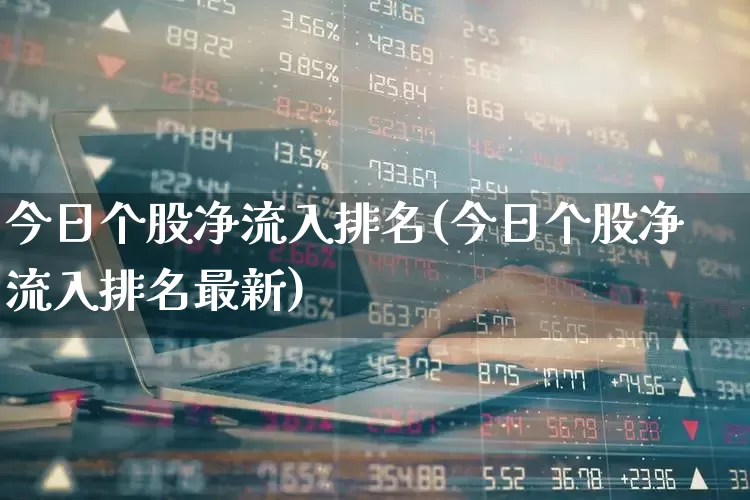 今日个股净流入排名(今日个股净流入排名最新)_https://www.fzdzcxj.com_北交所_第1张