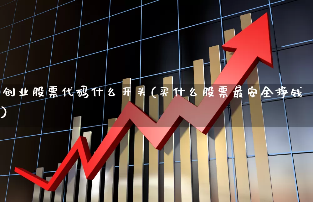 创业股票代码什么开头(买什么股票最安全挣钱)_https://www.fzdzcxj.com_科创板_第1张