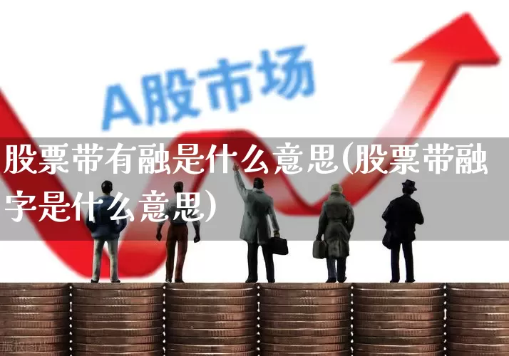 股票带有融是什么意思(股票带融字是什么意思)_https://www.fzdzcxj.com_创业板_第1张