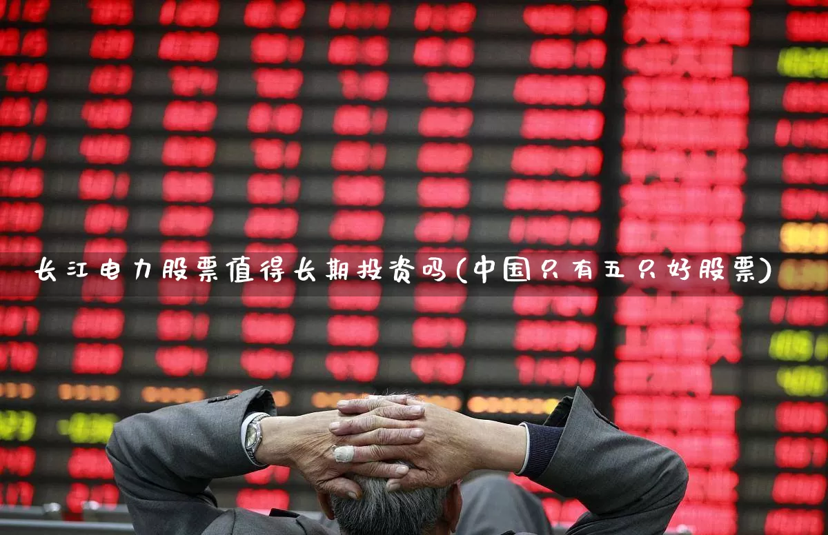 长江电力股票值得长期投资吗(中国只有五只好股票)_https://www.fzdzcxj.com_创业板_第1张