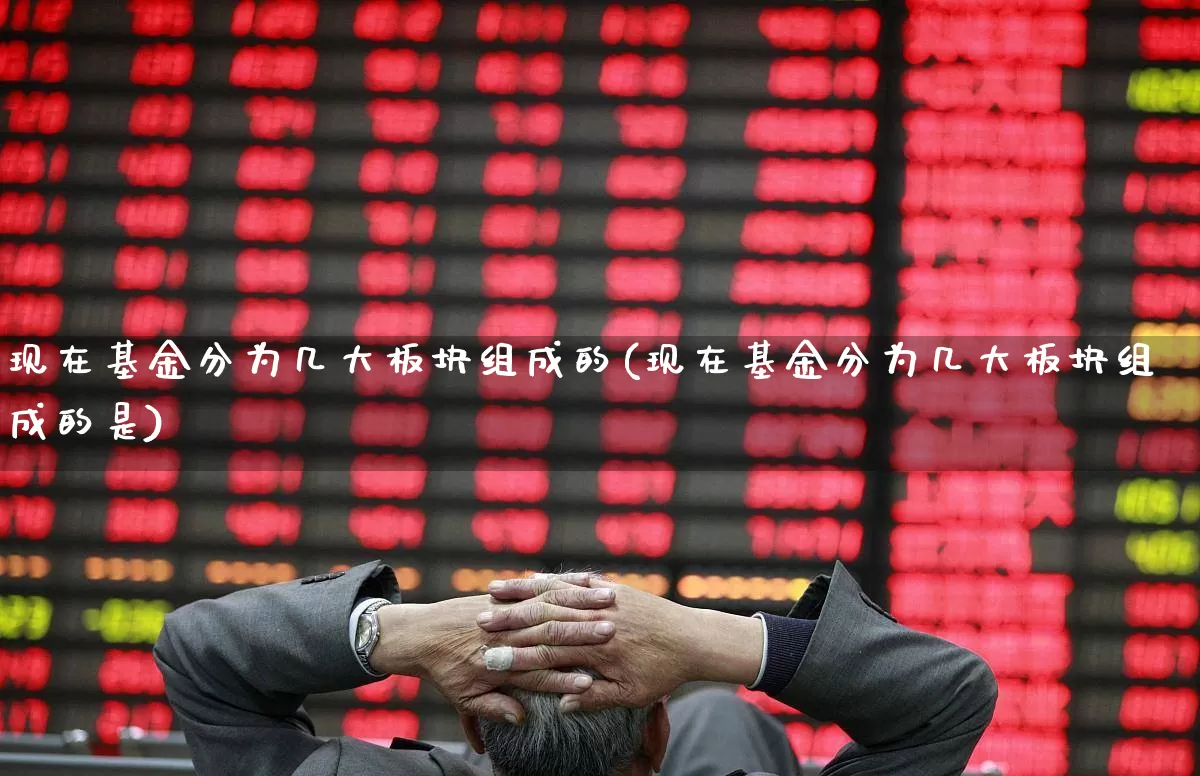 现在基金分为几大板块组成的(现在基金分为几大板块组成的是)_https://www.fzdzcxj.com_深交所_第1张
