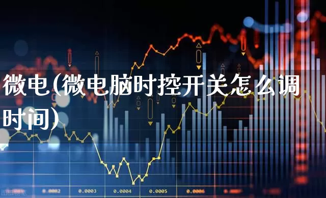 微电(微电脑时控开关怎么调时间)_https://www.fzdzcxj.com_北交所_第1张