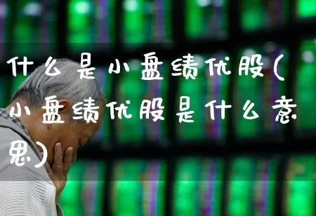 什么是小盘绩优股(小盘绩优股是什么意思)_https://www.fzdzcxj.com_上交所_第1张