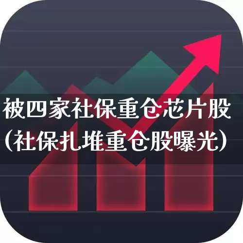 被四家社保重仓芯片股(社保扎堆重仓股曝光)_https://www.fzdzcxj.com_创业板_第1张