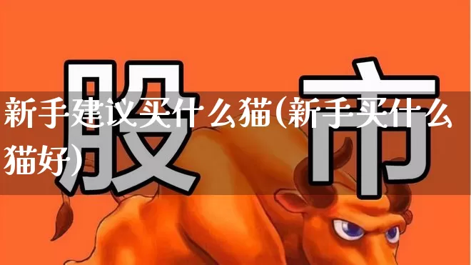 新手建议买什么猫(新手买什么猫好)_https://www.fzdzcxj.com_科创板_第1张