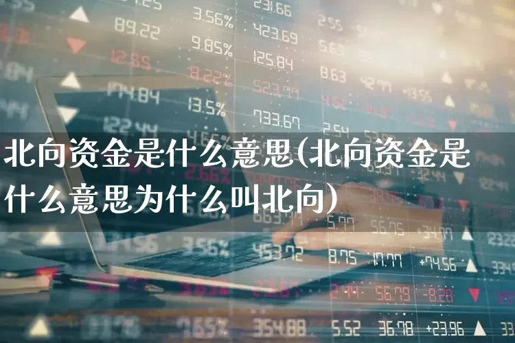 北向资金是什么意思(北向资金是什么意思为什么叫北向)_https://www.fzdzcxj.com_科创板_第1张