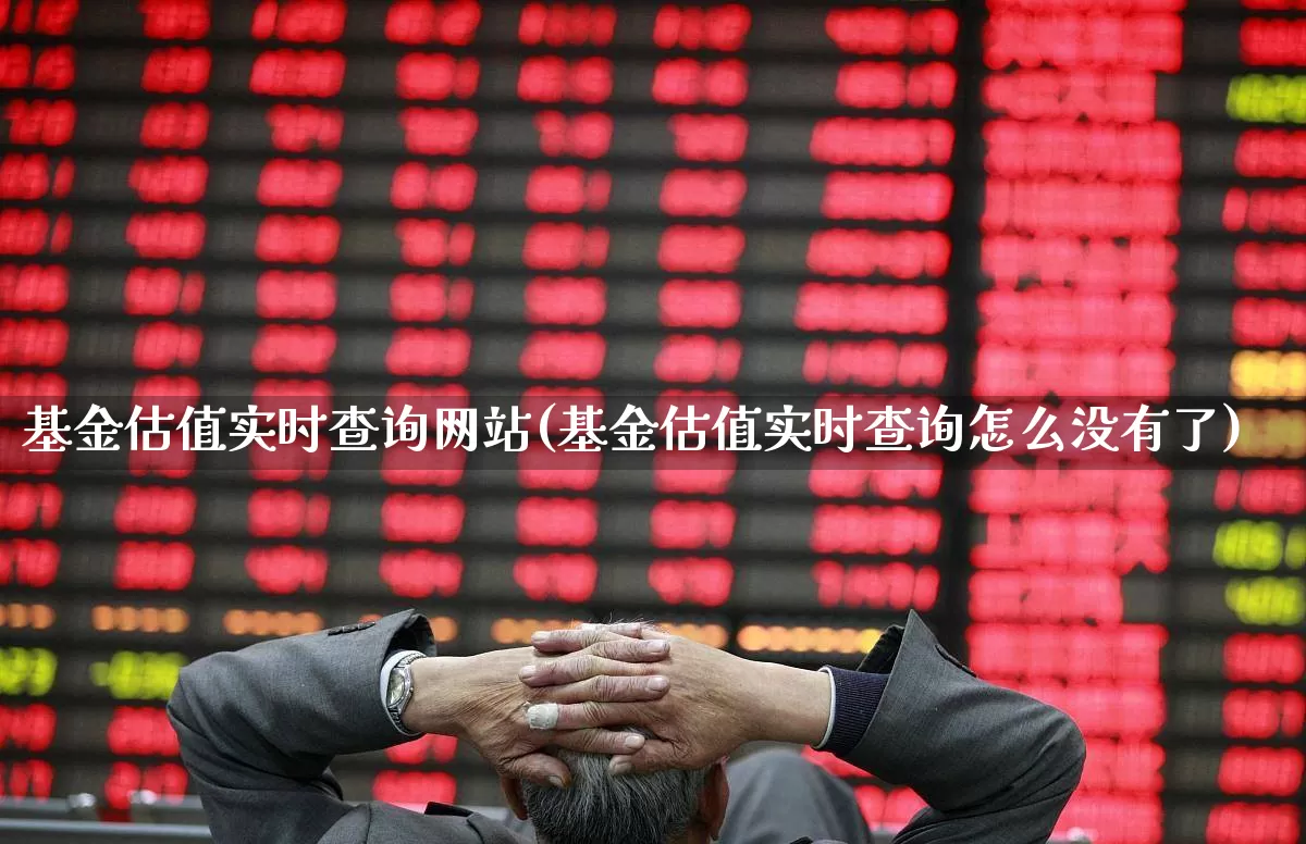 基金估值实时查询网站(基金估值实时查询怎么没有了)_https://www.fzdzcxj.com_北交所_第1张