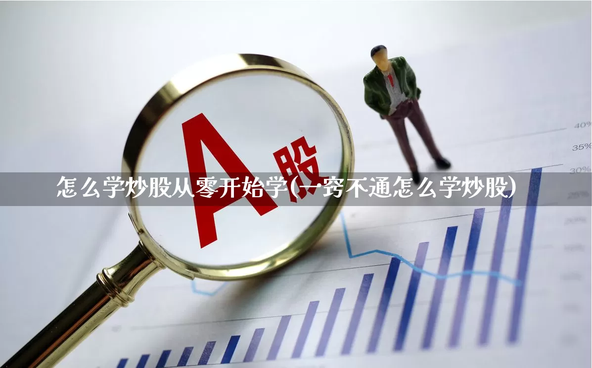 怎么学炒股从零开始学(一窍不通怎么学炒股)_https://www.fzdzcxj.com_科创板_第1张