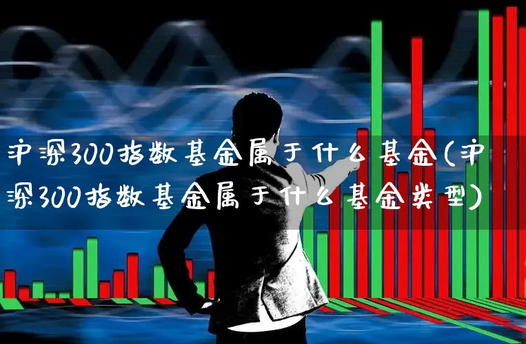 沪深300指数基金属于什么基金(沪深300指数基金属于什么基金类型)_https://www.fzdzcxj.com_深交所_第1张