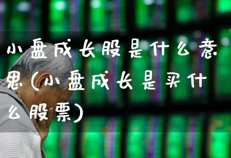 小盘成长股是什么意思(小盘成长是买什么股票)_https://www.fzdzcxj.com_上交所_第1张