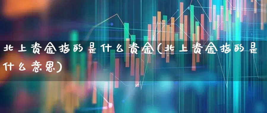 北上资金指的是什么资金(北上资金指的是什么意思)_https://www.fzdzcxj.com_创业板_第1张